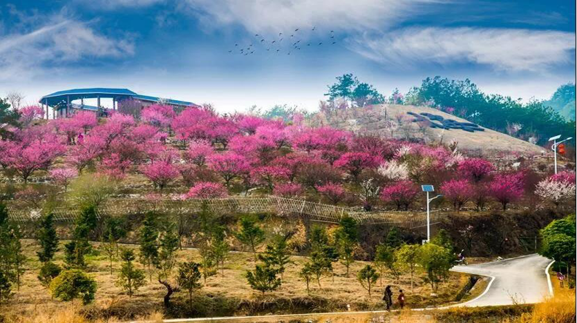 冬季紅花尖滑雪+燕兒谷+三里畈溫泉兩日游