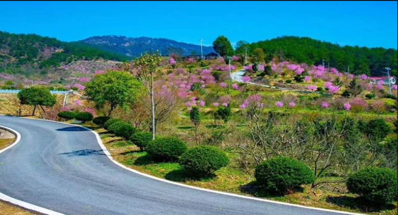 冬季紅花尖滑雪+燕兒谷+三里畈溫泉兩日游