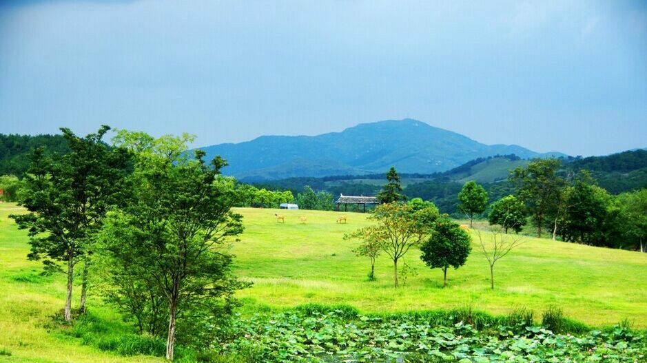 木蘭草原風(fēng)景區(qū)[黃陂拓展景區(qū)]