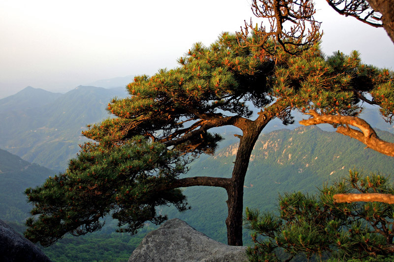 武漢拓展景區(qū)_黃岡三角山基地